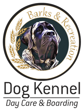 Barks And Recreation Dog Kennel