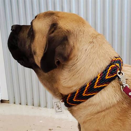 Winifred Dog Collar - Fall Cherokee