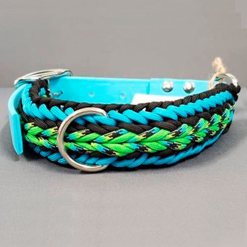 Winifred Dog Collar - Lime Turquoise Arrow